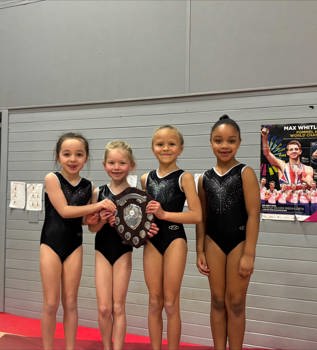 Level 1 County Winners